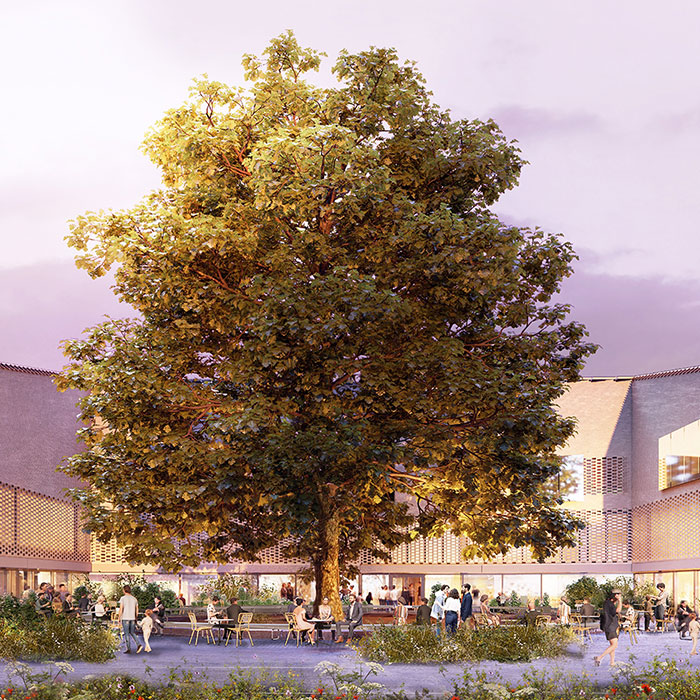 Computer Rendering der Museumshalle